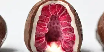 fruit chocolat